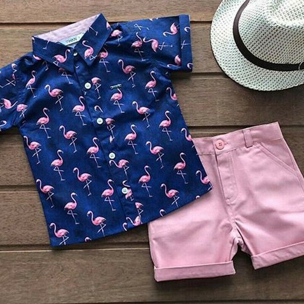 

toddler kid baby boy clothes outfits sets beach flamingo shirt shorts pants, Black;blue
