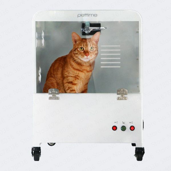 

automatic silent pet drying box dog hair dryer large dog cat dryer teddy blowing machine cat water blowing machine hair dryer