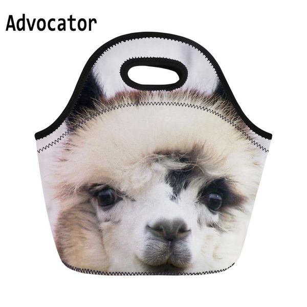 

advocator kawaii cartoon alpaca printing lunch bags for women insulated canvas lunch bags thermal picnic boxes serape, Blue;pink