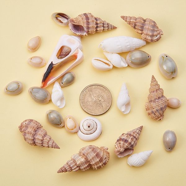 

природного mixed shell раковина штучной diy ювелирных аксессуары fish tank пейзаж украшение свеча украшение свеча