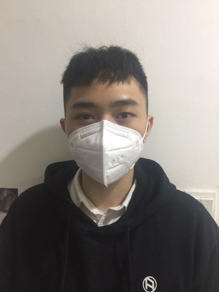 

mouth mask anti dust and flu, virus, smoke, germs, gas & allergies face mask n95 kn9508