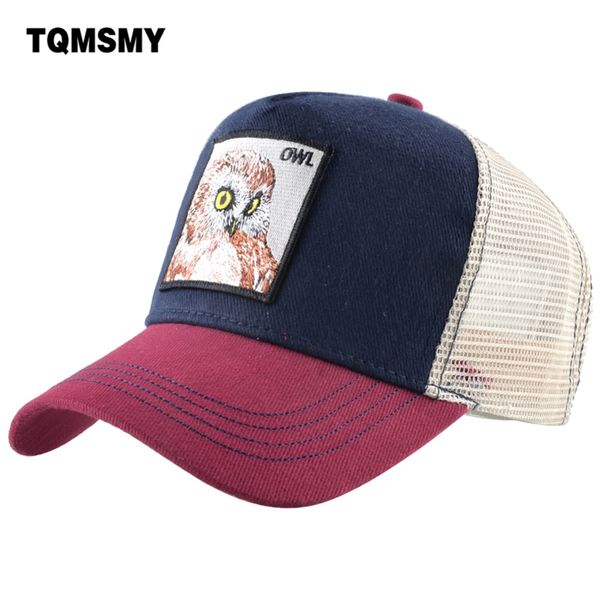 

tqmsmy cool male baseball cap embroidery owl cotton mesh hats for men women snapback trucker hats casual hip hop caps dhmty, Blue;gray