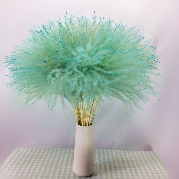 

decorative flowers & wreaths 10pcs natural pampas grass decor flower dried plants wedding bunch christmas home colorful phragmites communis
