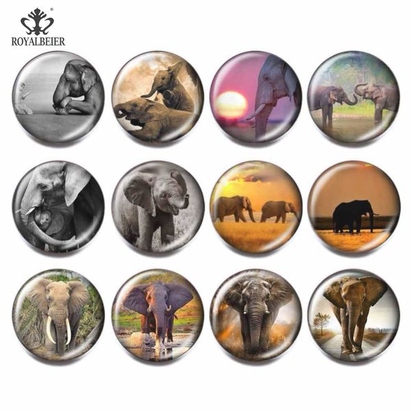 

12pcs/lot multi-color elephant glass cabochon beads 18mm colorful snap button charm bracelet women fit 18mm snap jewelry, Golden;silver