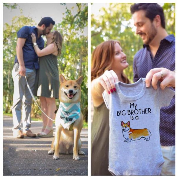 

dog baby clothes dog baby announcement shiba inu rompers boy or girl jumpsuit pregnancy announcement new outfit, Blue