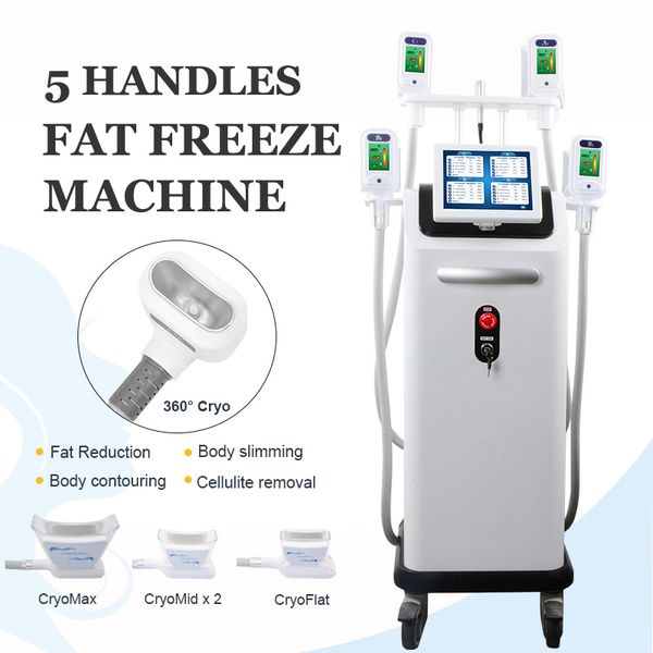 

high end cryolipolysis fat ing machine cryo slimming double chin removal 4 handles salon use criolipolisis machines on sale