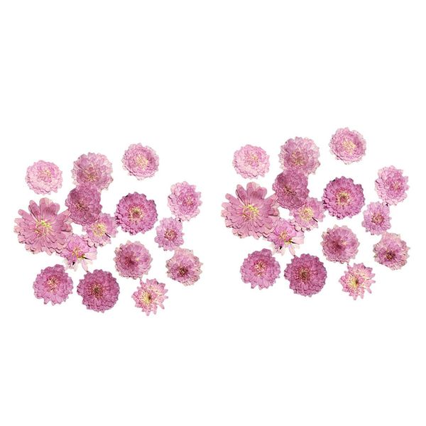 

20pcs pressed real dried flower dry leaves for diy crafts bookmark card making