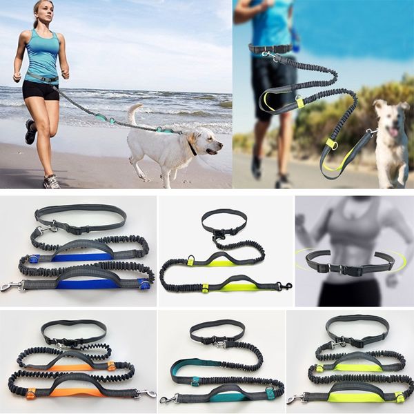 

5color hands waist dog leash with dual bungees dual-handle bungee leash with adjustable waist belt for running jogging walking fa2237