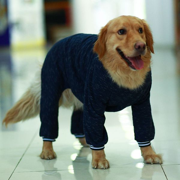 

Roupas para Cães jmmake