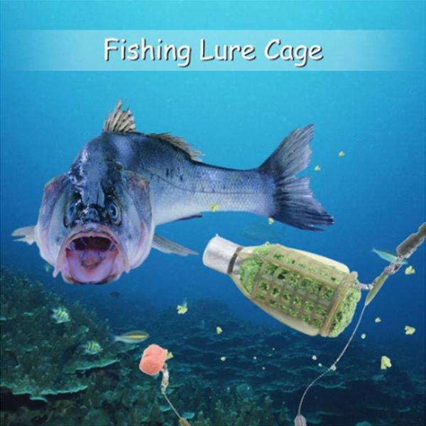 

tackle fishing bait feeder cage holder fish feeding lure trap accessories