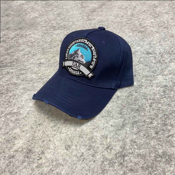 

new luxury designer cap dad hats baseball cap for men and women famous brands cotton adjustable sport golf curved hat 10008, Blue;gray