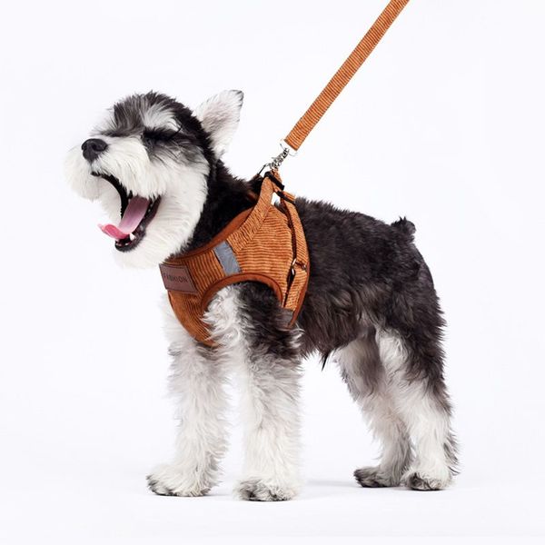 

pet outdoor harness and leash set dogs harness comfortable easy control for small dogs neck accessories