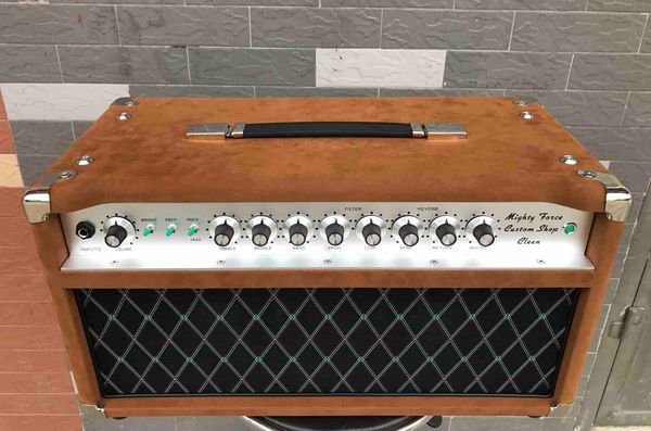 

custom point to pointing sss50 steel string singer guitar amp valve amplifier head dumble tone in brown customize faceplate