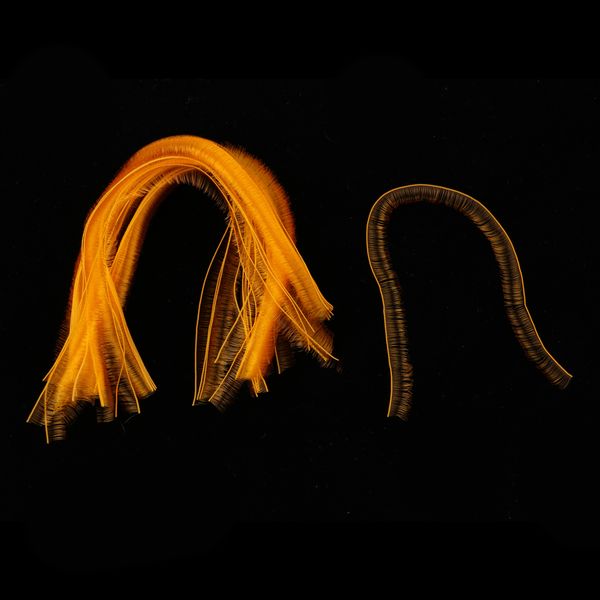 

40 pieces doll eyelash strips 20cm diy eyelashes for doll makeup orange