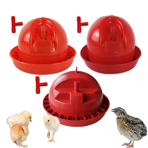 

1pcs small chicken drinker automatic on ground plastic day old chick watering waterer drinking bowl fountain kettle dispenser