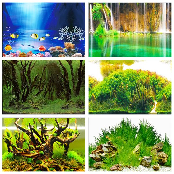 aquarium backgrounds canada