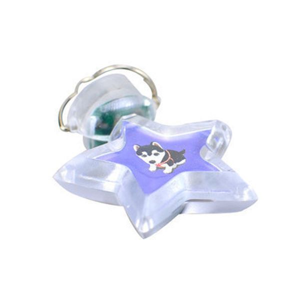 

pets brand identity led luminescence pets dog hanging tag at night defence collide caution lamp defence be lost listing dog tag