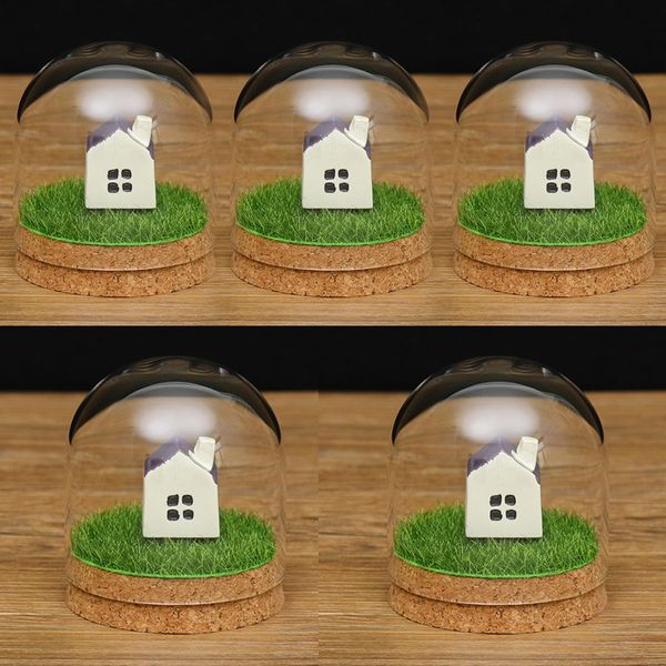 

5x deskglass dome cover shade shield cloche bell jar landscape terrariums with wood corkdry flower vase