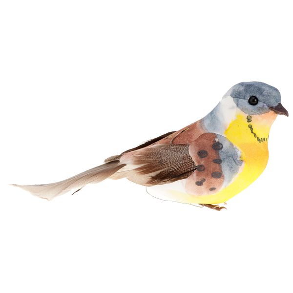 

foam bird model taxidermy realistic artificial feathered bird teaching props