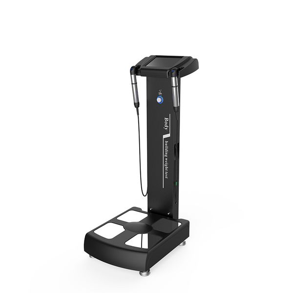 

wifi vertical auto body elements analysis manual weighing scales beauty care weight loss equipment composition analyzer
