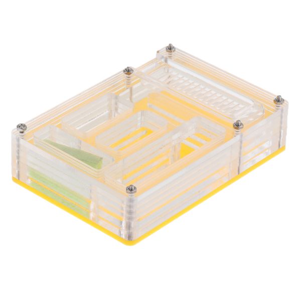 

clear ant housing acrylic nest ant feed farm formicarium box rectangle