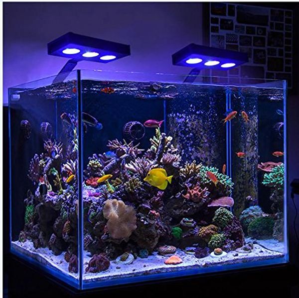 Acheter Touch Dimmable Nano Aquarium Led Luminaire Marin Réservoir De Poissons Tropical Deau Douce Plante Led Lampe éclairage Ac110 240v De 7056 Du