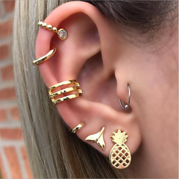 

новые серьги punk ветер пористая fishtail ананас фрукты серьги combination личность способа горячего сбывания оптовой продажи ювелирных изде, Golden;silver