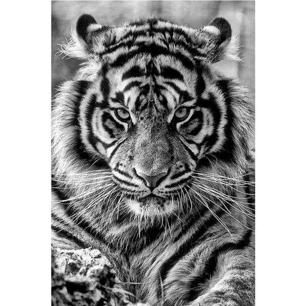 

custom animal king tiger canvas poster home decoration cloth fabric wall poster print silk fabric print 27x40 cm