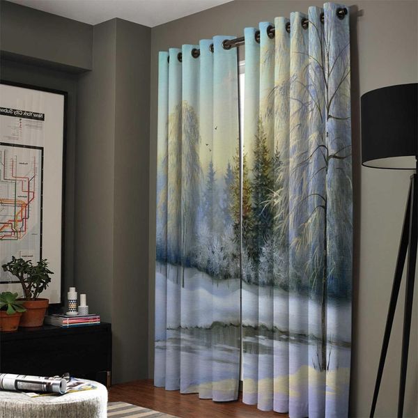 2019 Winter Snow Lake Woods Jungle Birds Beautiful Cloud Blackout