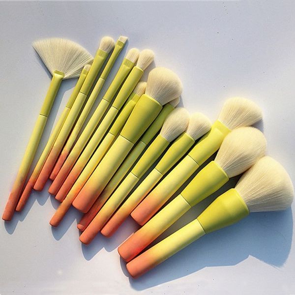 

pro gradient color 14pcs makeup brushes set soft cosmetic blending foundation eyeshadow blush brush kit make up tools