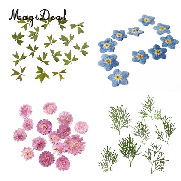 

10x pressed real dried flower dry leaves for diy crafts bookmark card making