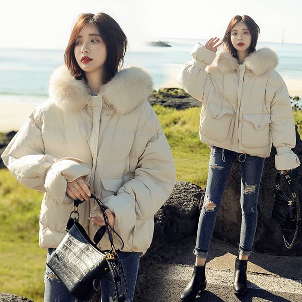 

korean-style short down feather cotton-padded clothes women's raccoon dog large fur collar cotton coat thick coat hooded student, Blue;black