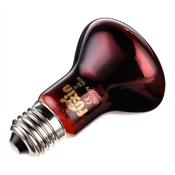 

amphibian bird snake reptile e27 red light night heating lamp heating and insulation for lizards turtles and snakes