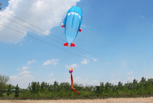 

new 3d huge frameless soft parafoil giant dolphin kite blue with kite a dolphin kite has no skeleton