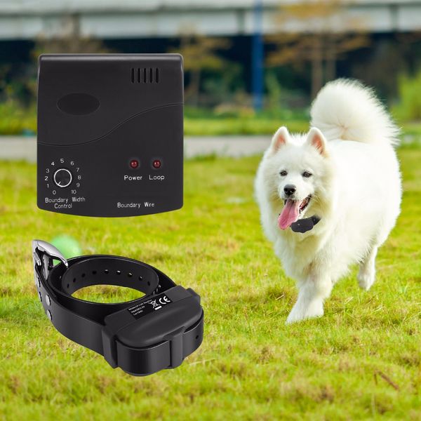 

pet electronic fence shock