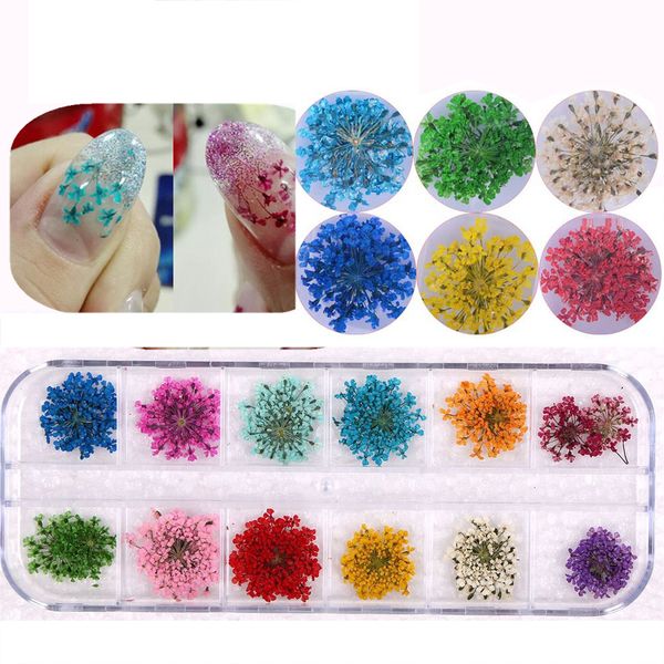 

12 colors natural petal dried dry flower tips 3d nail art bloem wheel decorations nail jewelry for uv gel beauty manicure tools, Silver;gold
