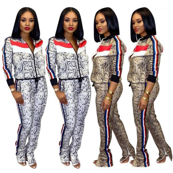 

women tracksuits womens designer tracksuits 2 piece pants snake printed autumn casual slim long sleeved stand collar sports suits fashion, Gray