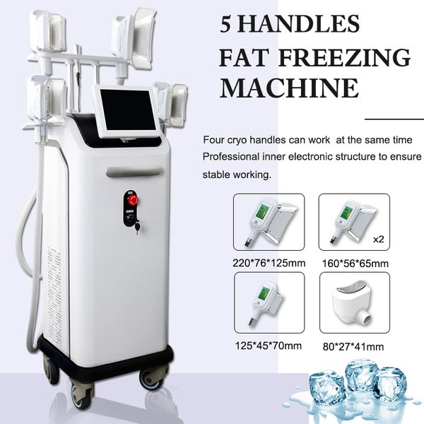 

price cryolipolysis slim cryotherapy weight loss fat ing cryolipolysis beauty salon equipment 2 years warranty