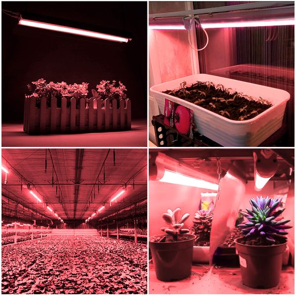 

Led full-spectrum plant lamp farming household growth lamp plant vegetable fill light color anti-sunlight lamp household lamps