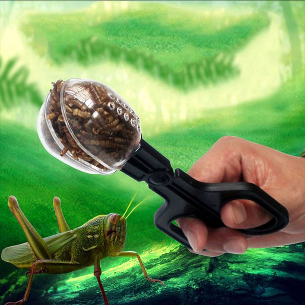 

рептилии террариум паук cricket зажим aquarium помет кормление очистка инструмента новый