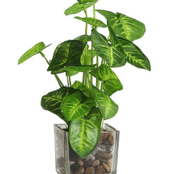 

artificial plants with simulation bonsai glass pot 4-leaf clover window decoration household table tue88