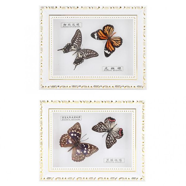 

бабочка насекомое образец фоторамка ремесло подарок на день рождения украшение дома