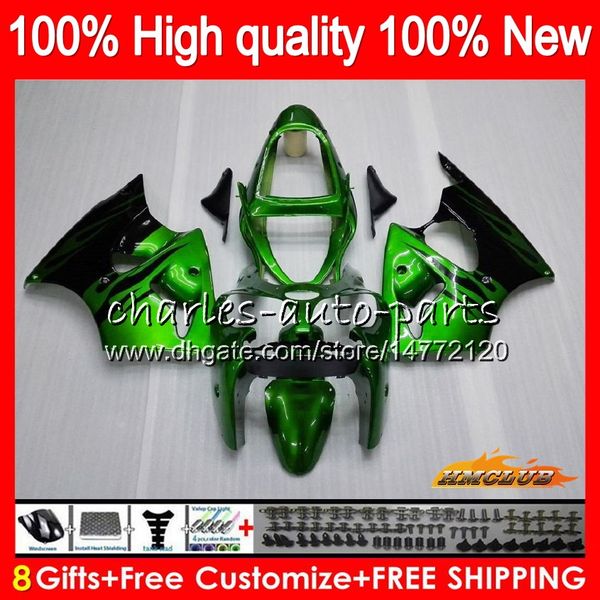 

bodys for kawasaki zx600 600cc zzr600 05 06 07 08 bodywork 38hc.66 zx600cc green flames zzr-600 zzr 600 2005 2006 2007 2008 oem fairing kit