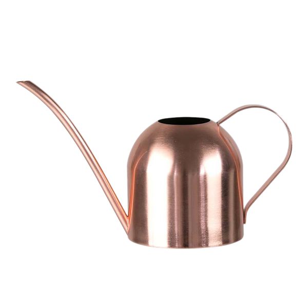 

500ml stainless steel long mouth watering pot green plant watering can golden kettle gardening tools can