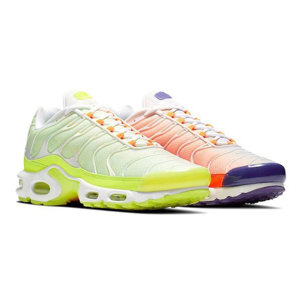 tn color flip pack grape