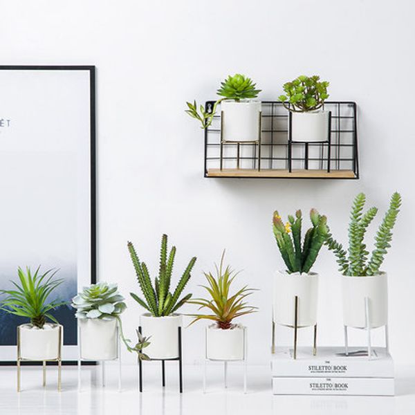 

nordic wind simulation plant fleshy set fake flower cactus home bonsai living room decoration small potted ornaments