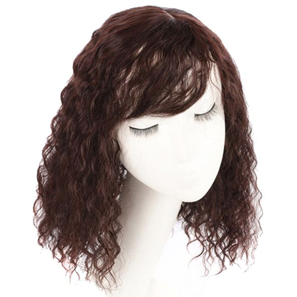 

ailiade black brown simulation human hair synthetic natural clip bangs closure women toupees kinky curly hair er hairpieces