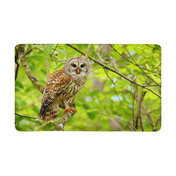 Barred Owl Sitting On Tree Indoor Doormat Non Slip Front Entrance