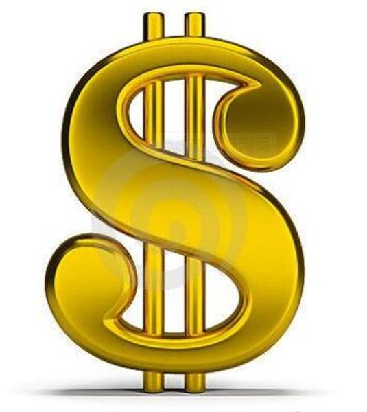 

just the link for customers to make payment, White
