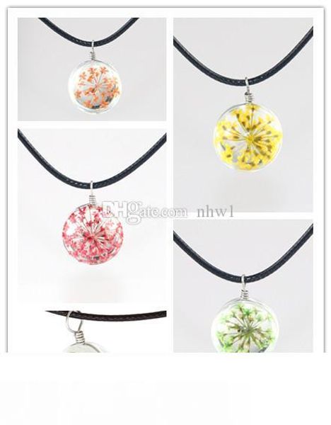 

fashion crystal glass ball clover necklace long strip leather chain dried flowers pendant necklaces women 2016 jewelry, Silver